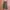 Uniqlo Streetwear Gorpcore Tracksuit Pria green photo 6