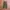 Uniqlo Streetwear Gorpcore Tracksuit Pria green photo 1