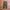 Uniqlo Streetwear Gorpcore Tracksuit Pria Green
