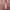 New Sheer Mesh Floral Beach Cover Up Dress photo 5