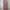 New Sheer Mesh Floral Beach Cover Up Dress photo 1