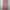 New Sheer Mesh Floral Beach Cover Up Dress photo 6