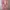 New Sheer Mesh Floral Beach Cover Up Dress photo 2