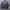 Jersey Sepakbola Remaja Pria RAZZOLI Navy Made in Jepang photo 1
