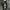 Fatalism Raw Denim photo 2