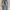 Levi’s 511 Jeans