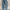 Leviβs 511 Jeans photo 7