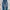 Levi’s 514 Jeans