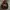Levi's Vintage Y2K Hoody Pria burgundy brown photo 1