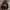 Levi's Vintage Y2K Hoody Pria Burgundy Brown