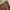 Levi's Vintage Y2K Hoody Pria burgundy brown photo 2