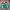 I-PARK Windbreaker Colorblock Jacket