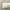 Gorpcore Sportswear Track jacket Pria cream photo 4