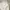 Gorpcore Sportswear Track jacket Pria cream photo 2