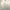 Gorpcore Sportswear Track jacket Pria cream photo 3