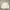 Gorpcore Sportswear Track Jacket Pria Cream