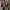 THEORY CARGO JAPAN BAGGY PANT photo 6