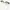Jimmy Choo Luxury Casual Sunglass Wanita gold brown photo 5