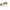 Jimmy Choo Luxury Casual Sunglass Wanita gold brown photo 8