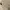 Le Grande Bleu (LGB) Gorpcore Casual Casual pants Pria cream photo 3