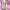 Alice Mccall Rose Mini Dress photo 1