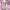 Alice Mccall Rose Mini Dress