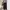 Japanese Utility Multi-pocket Cargo Pants Baggy