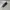 REGAL CAP TOE  OXFORD SHOES photo 1