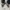 REGAL CAP TOE OXFORD SHOES photo 10