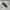 REGAL CAP TOE  OXFORD SHOES photo 2