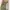 Pull & Bear Sportswear Babydoll dress Wanita green tan photo 1