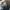 Sepatu Boots Moncler