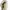 Ray Ban Y2K Casual Sunglass Wanita brown yellow photo 7