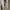 ,Outer Bubble Textured Pearl White Elegant | Old Money Look  photo 2