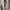 ,Outer Bubble Textured Pearl White Elegant | Old Money Look 