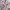 Moimoln jacket anak perempuan pink lucu photo 4