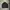 Tracktop FCMM photo 2