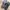 Dr. Martens Streetwear Casual Boots Pria black photo 6