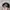 NIKE AIR JORDAN SNAPBACK HAT CAPS photo 3