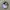 NIKE TOPI GOLF WHITE photo 1