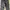 UNIQLO MEN 3/4 CARGO SHORT ROLLS UP ADJUSTED PANTS photo 4