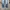 Denim Pants Levi's 511 Blank Tab photo 4