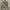 LAD Musician Camo Shirt photo 1
