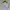 appron white cosplay photo 5