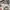 Vans checker board slipon toddler  photo 1
