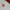 Adidas x Sporty & Rich Raglan Tee Original White Red photo 4