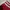 Adidas x Sporty & Rich Raglan Tee Original White Red photo 6