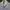 Nike Sportwear Big Swoosh Crop Jacket photo 4