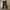 Vintage Dickies 874 Canvas Work Pant Dark Navy