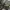 Mountain Parka Bulu Angsa Bulang Parka Outdoor Green Army photo 3